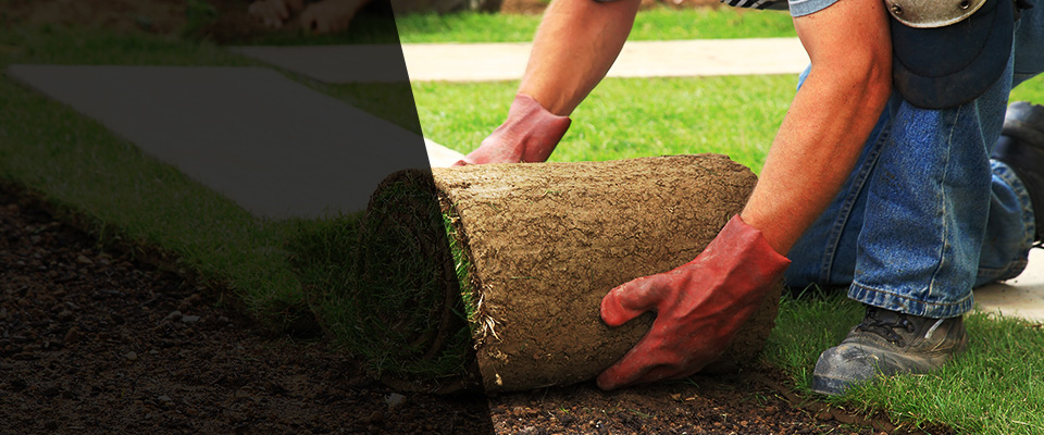 Harbor Beach Landscapers